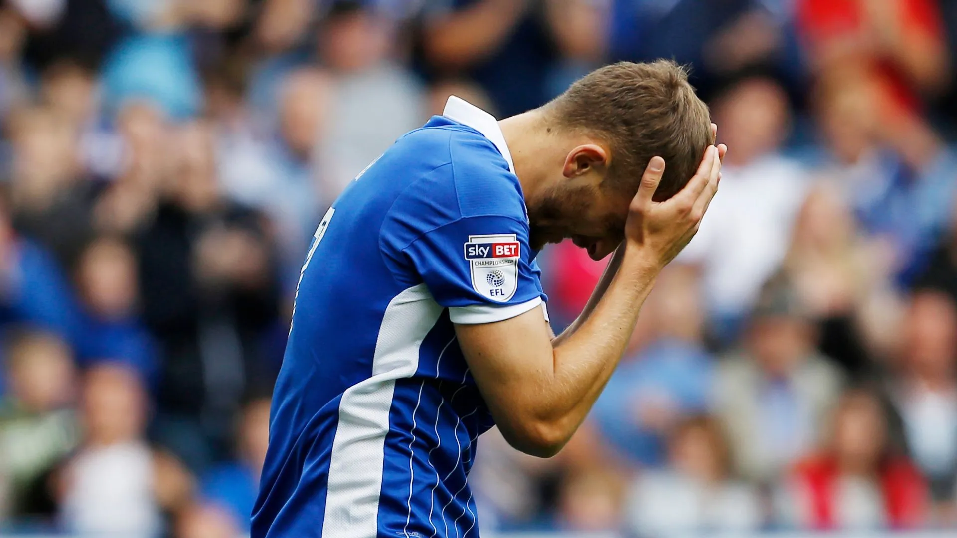 Almen Abdi trong trận đấu của Sheffield Wednesday