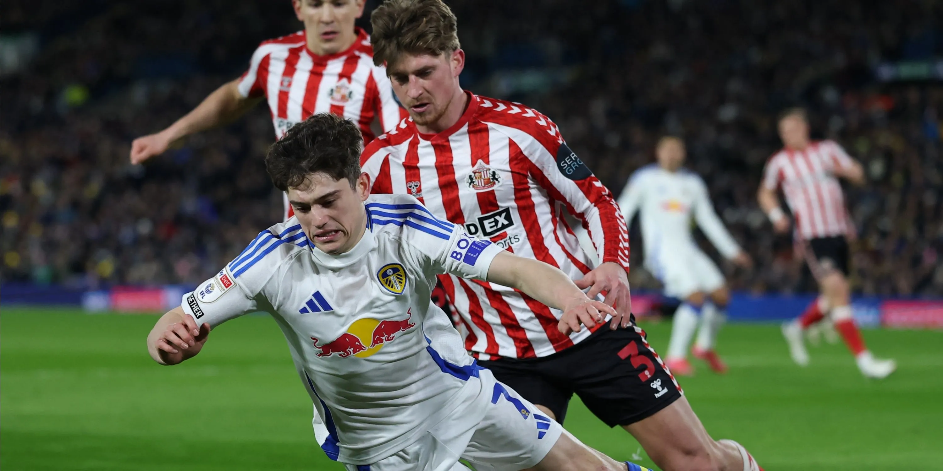Hậu vệ trái Dennis Cirkin thi đấu cho Sunderland