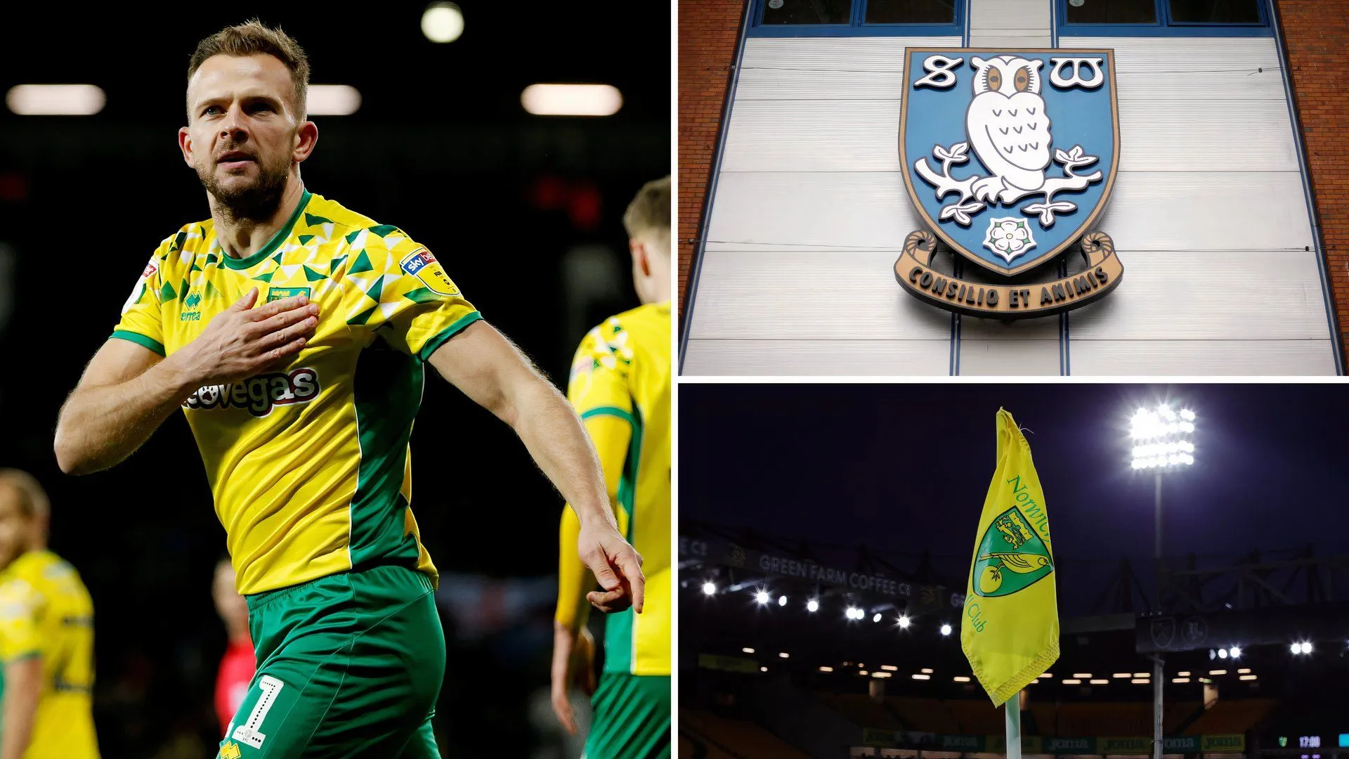 Jordan Rhodes trong màu áo Sheffield Wednesday và Norwich City