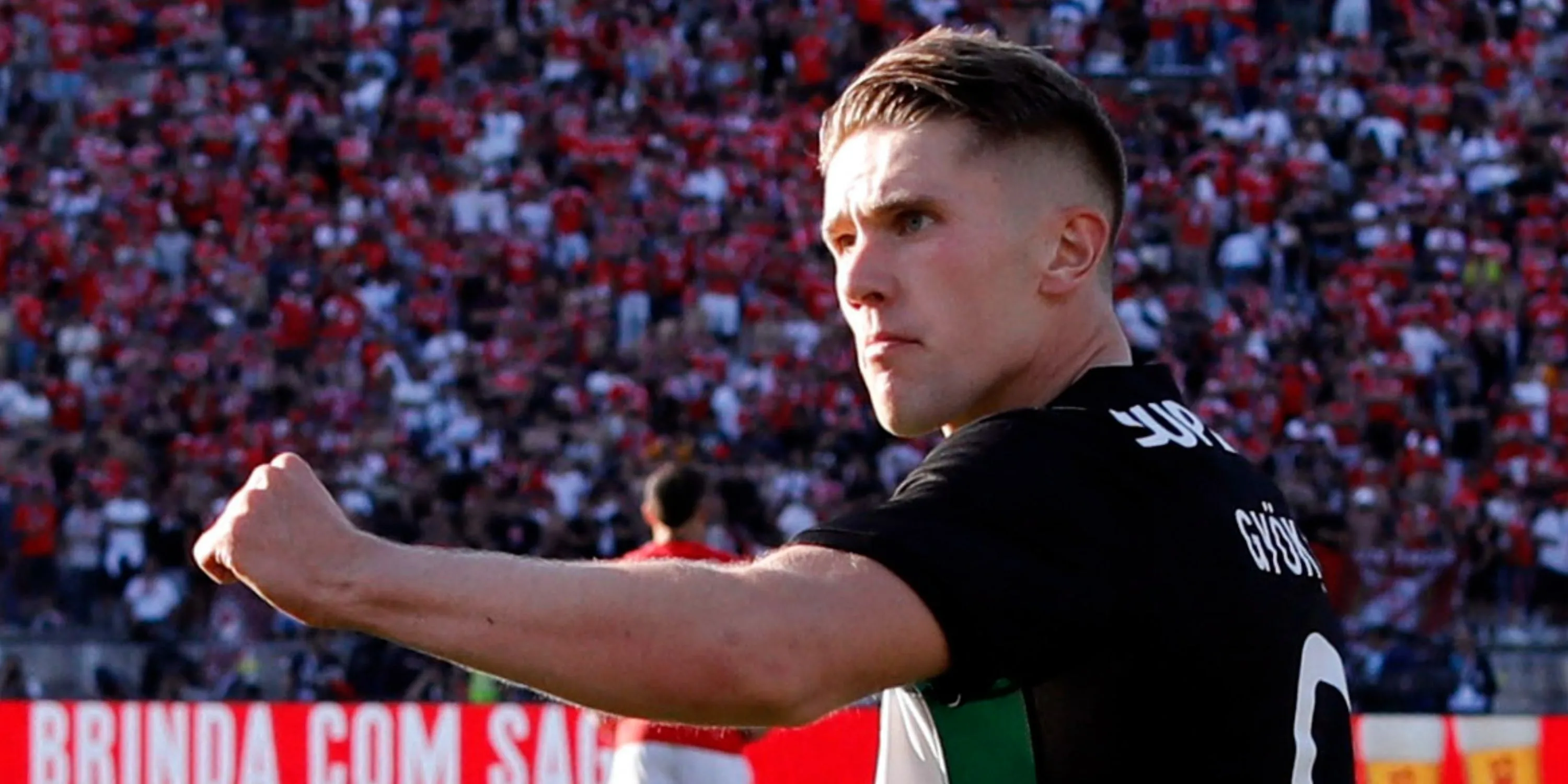 Viktor Gyokeres thi đấu trong giải VĐQG Bồ Đào Nha Primeira Liga cùng Sporting CP.